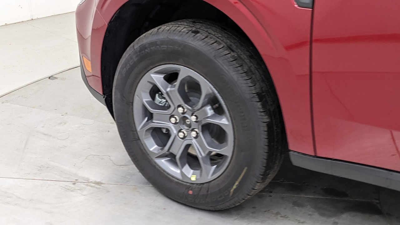 Car Exterior