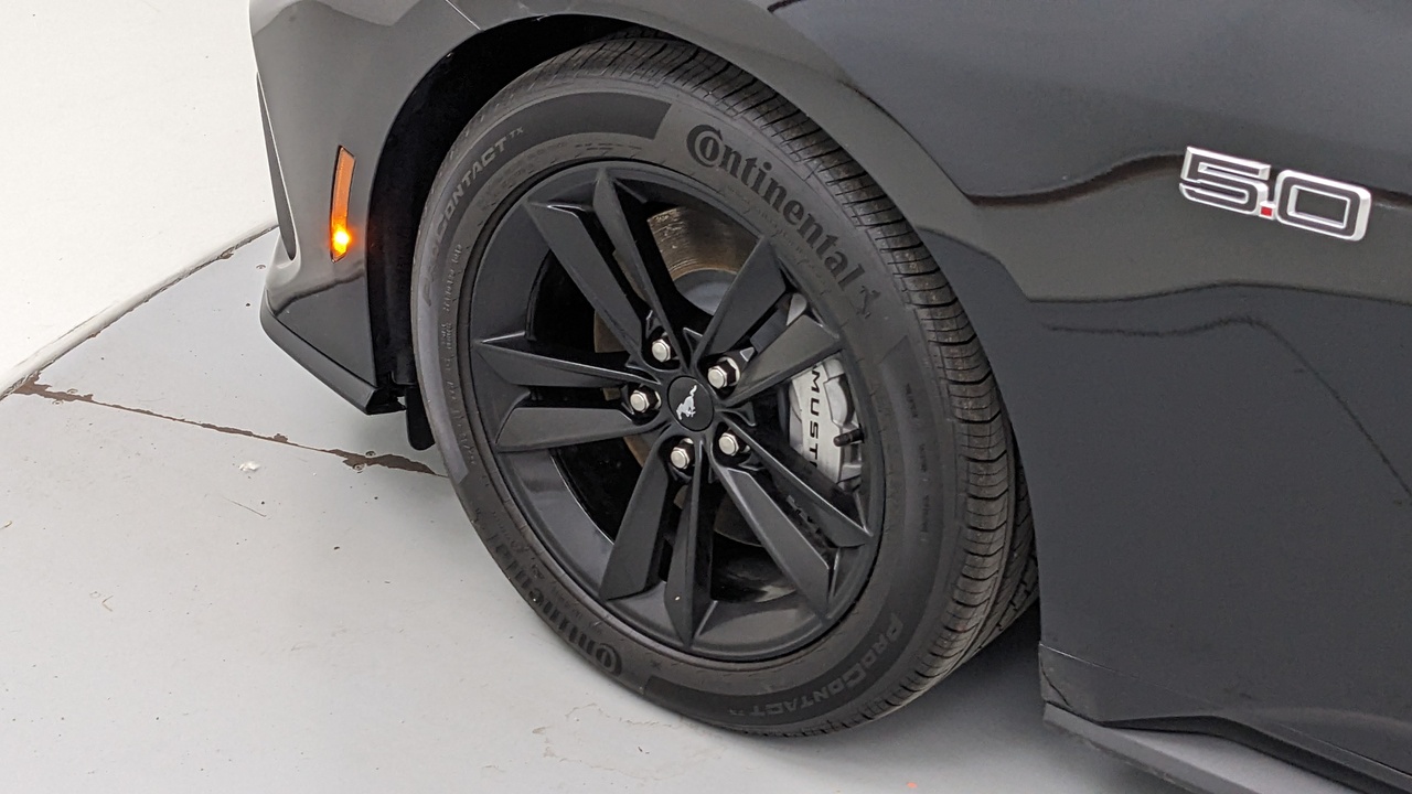 Car Exterior