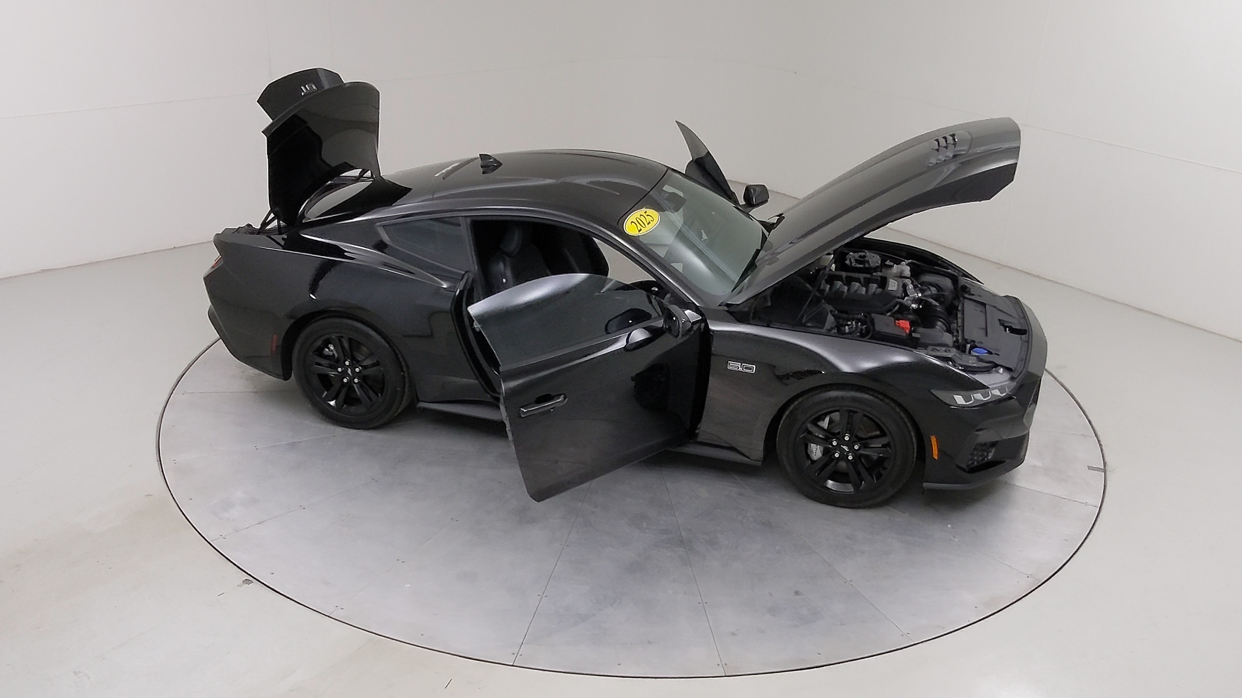 Car Exterior