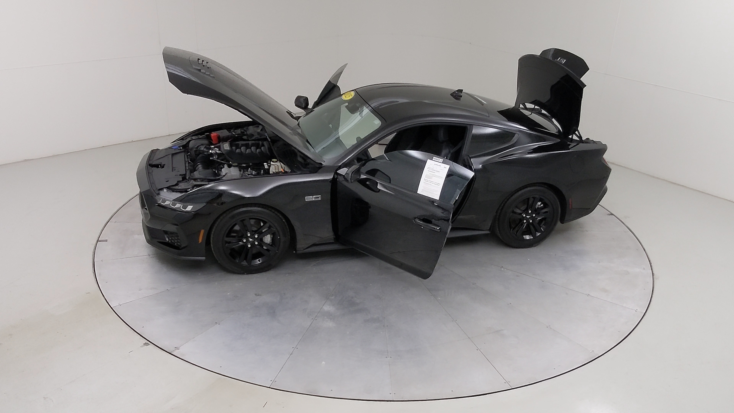 Car Exterior