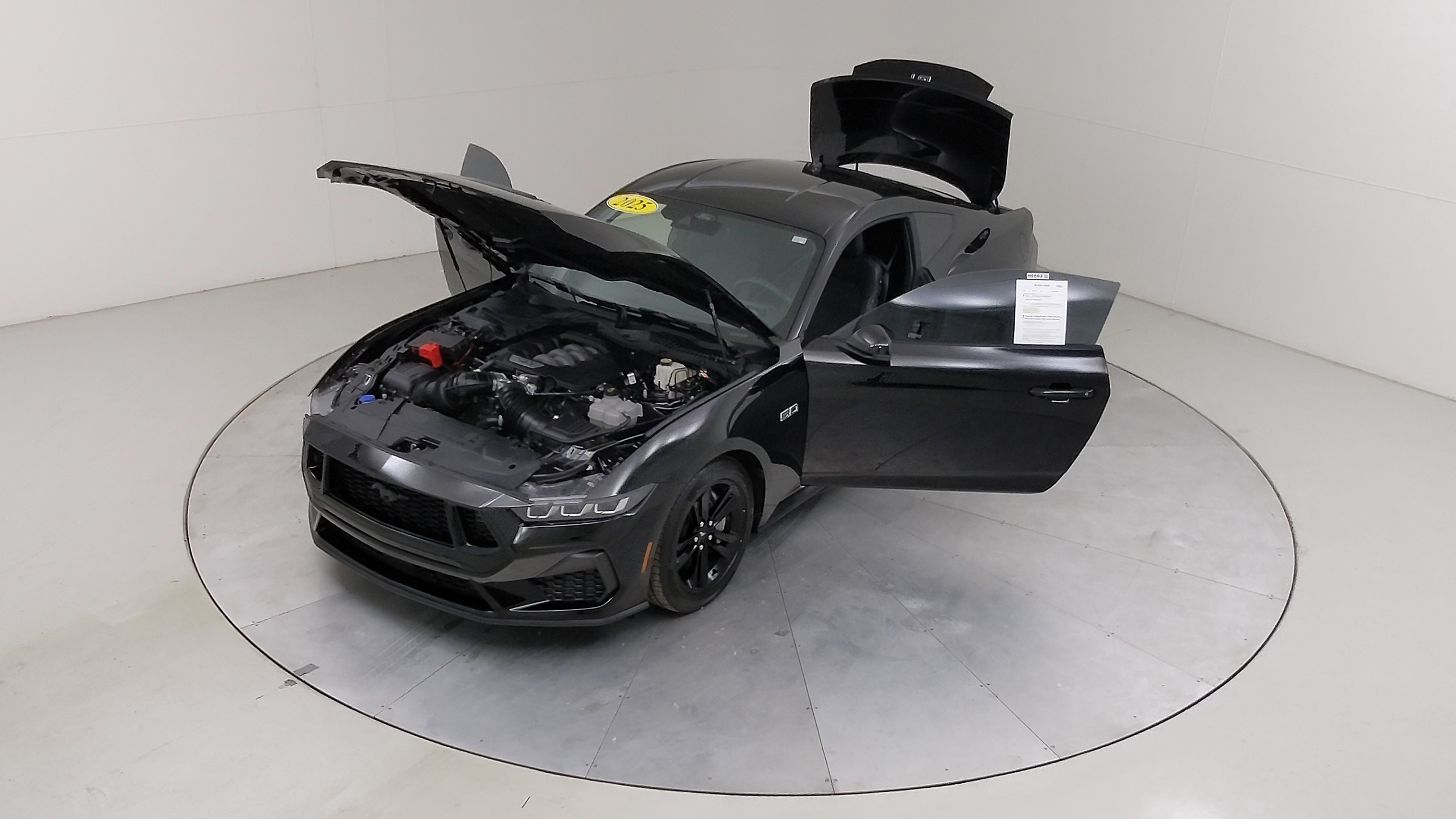 Car Exterior