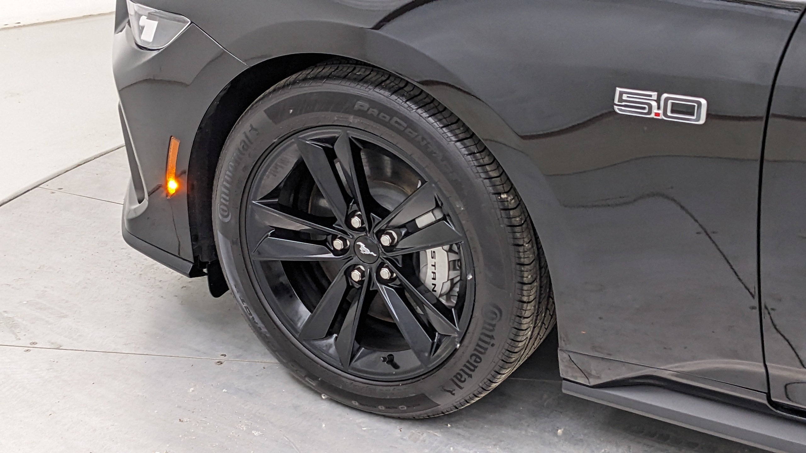 Car Exterior