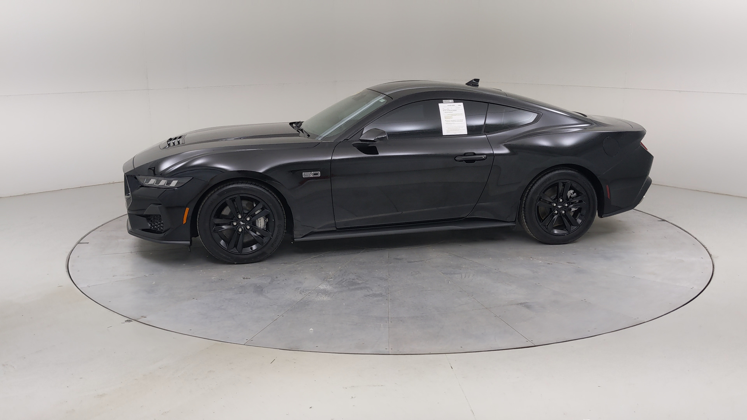 Car Exterior