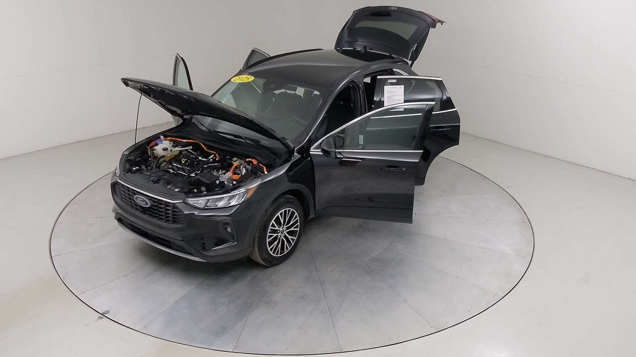 Car Exterior