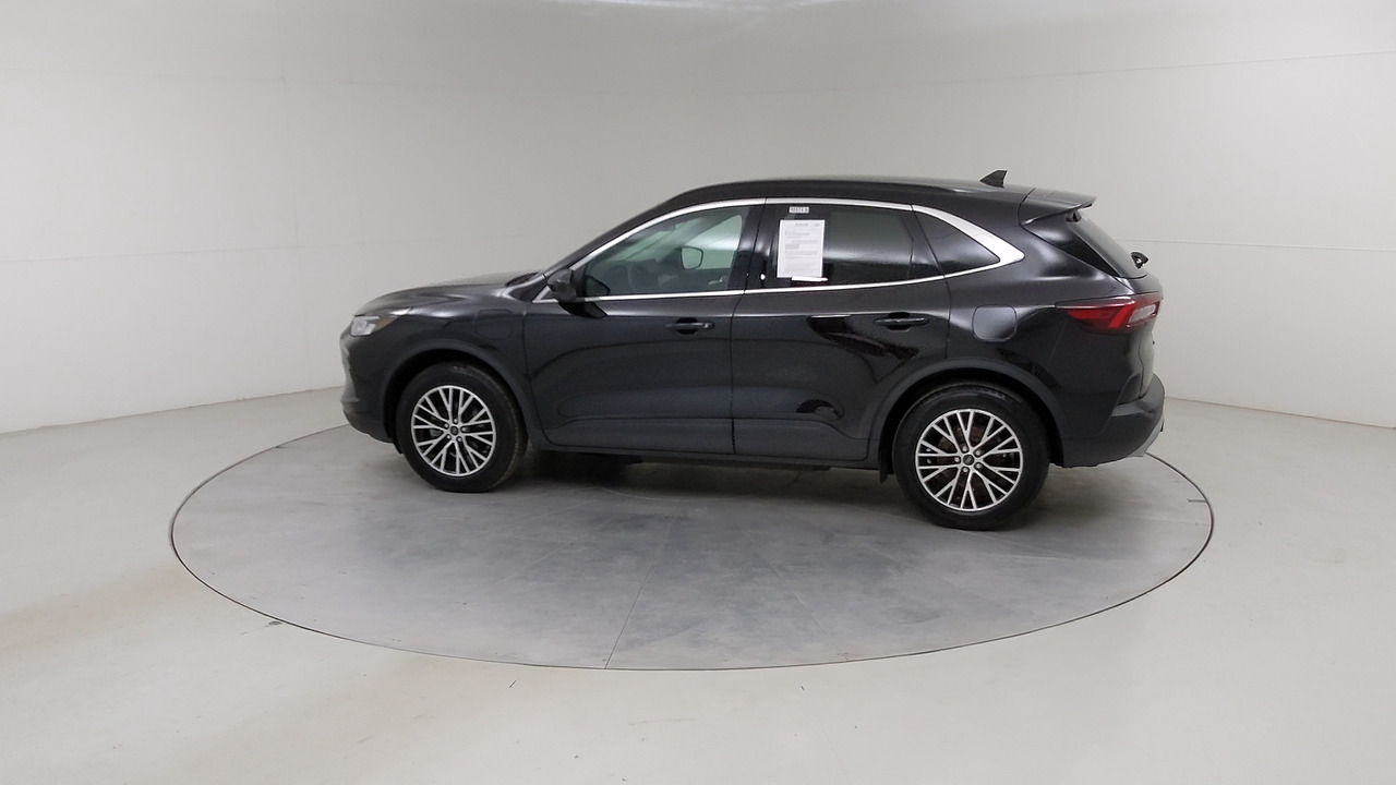 Car Exterior