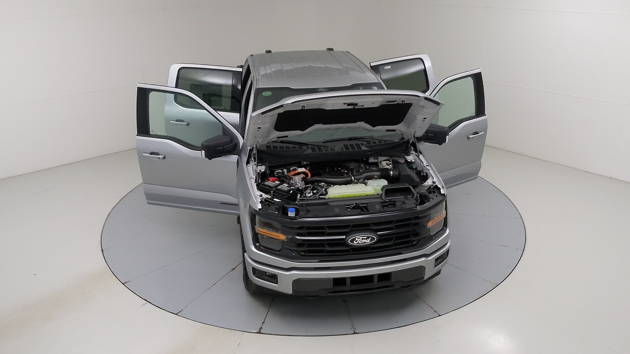 Car Exterior
