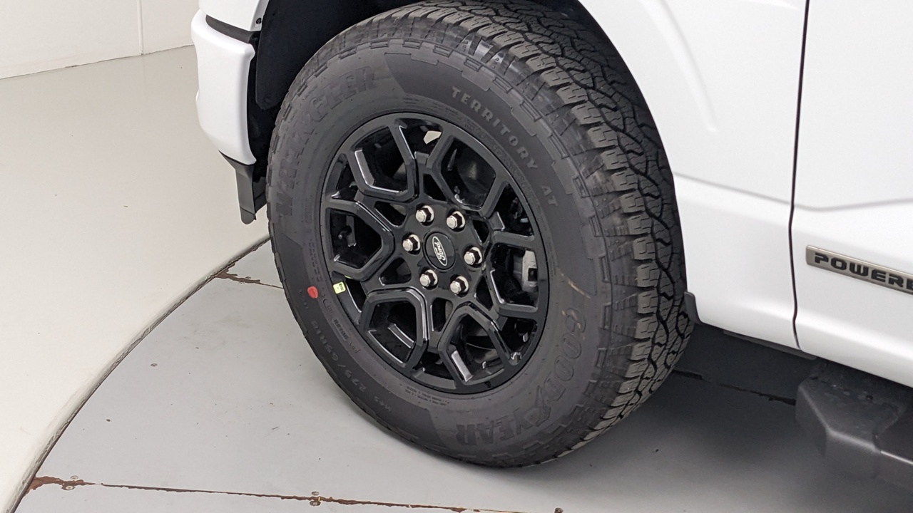 Car Exterior