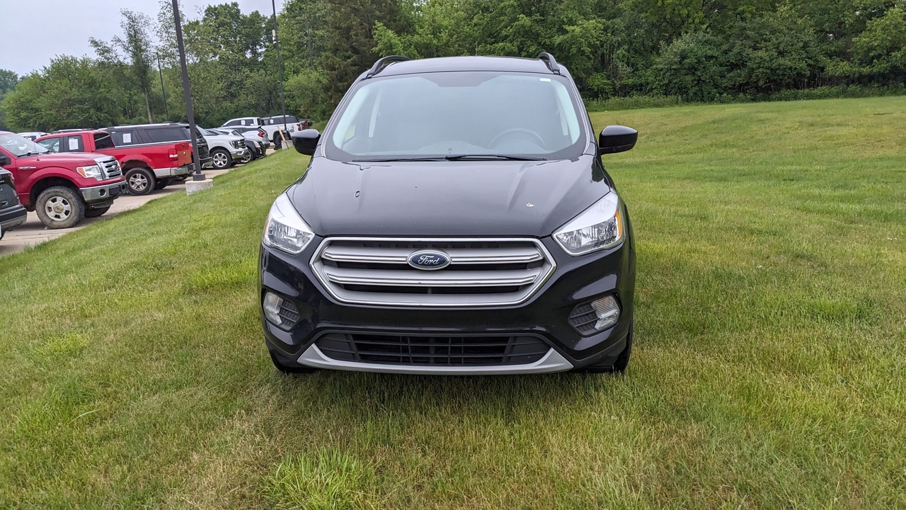 Car Exterior