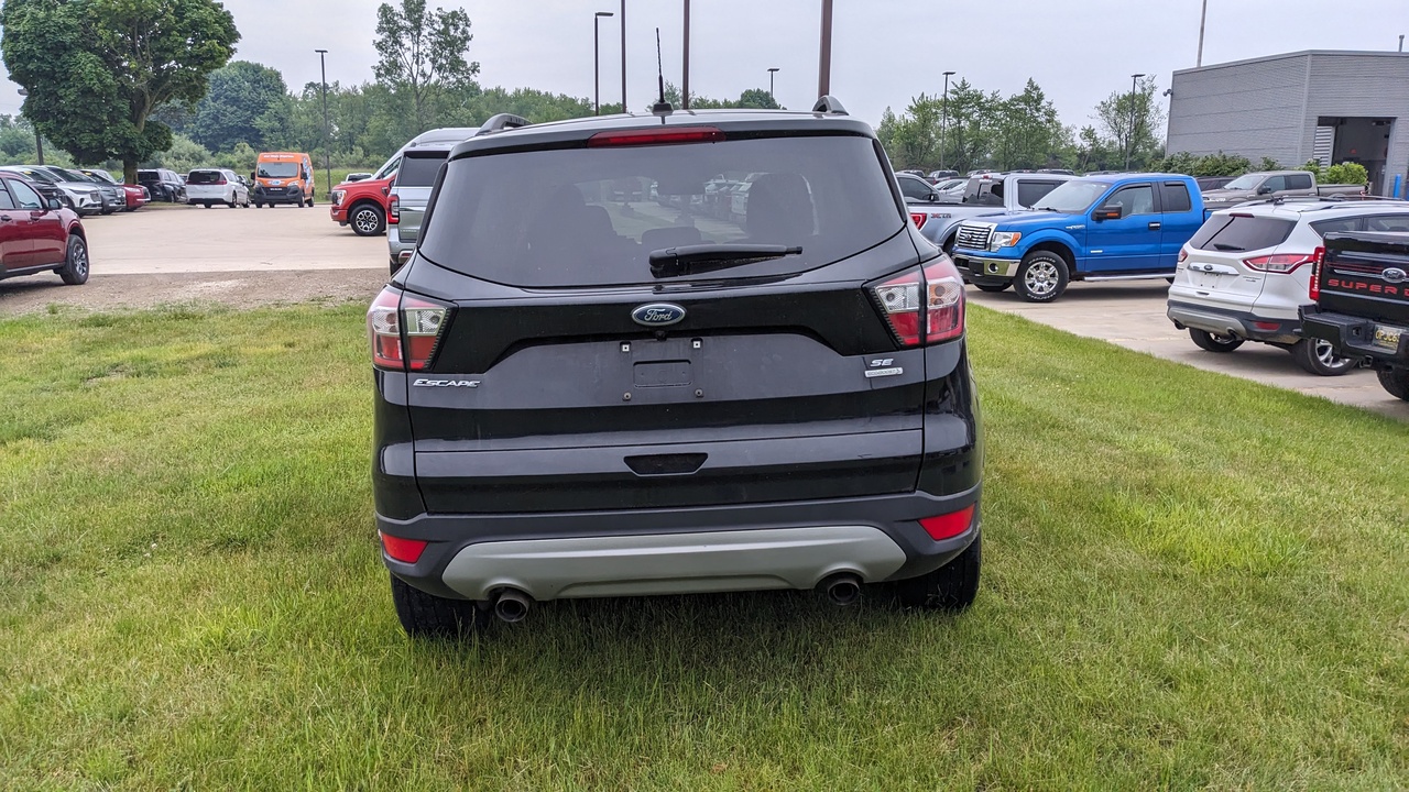 Car Exterior