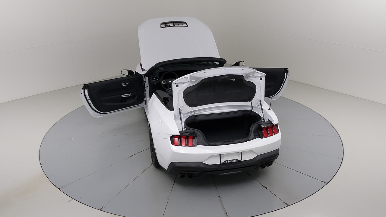 Car Exterior