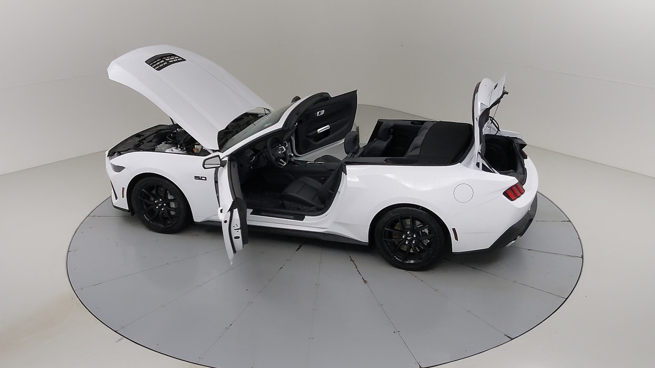 Car Exterior
