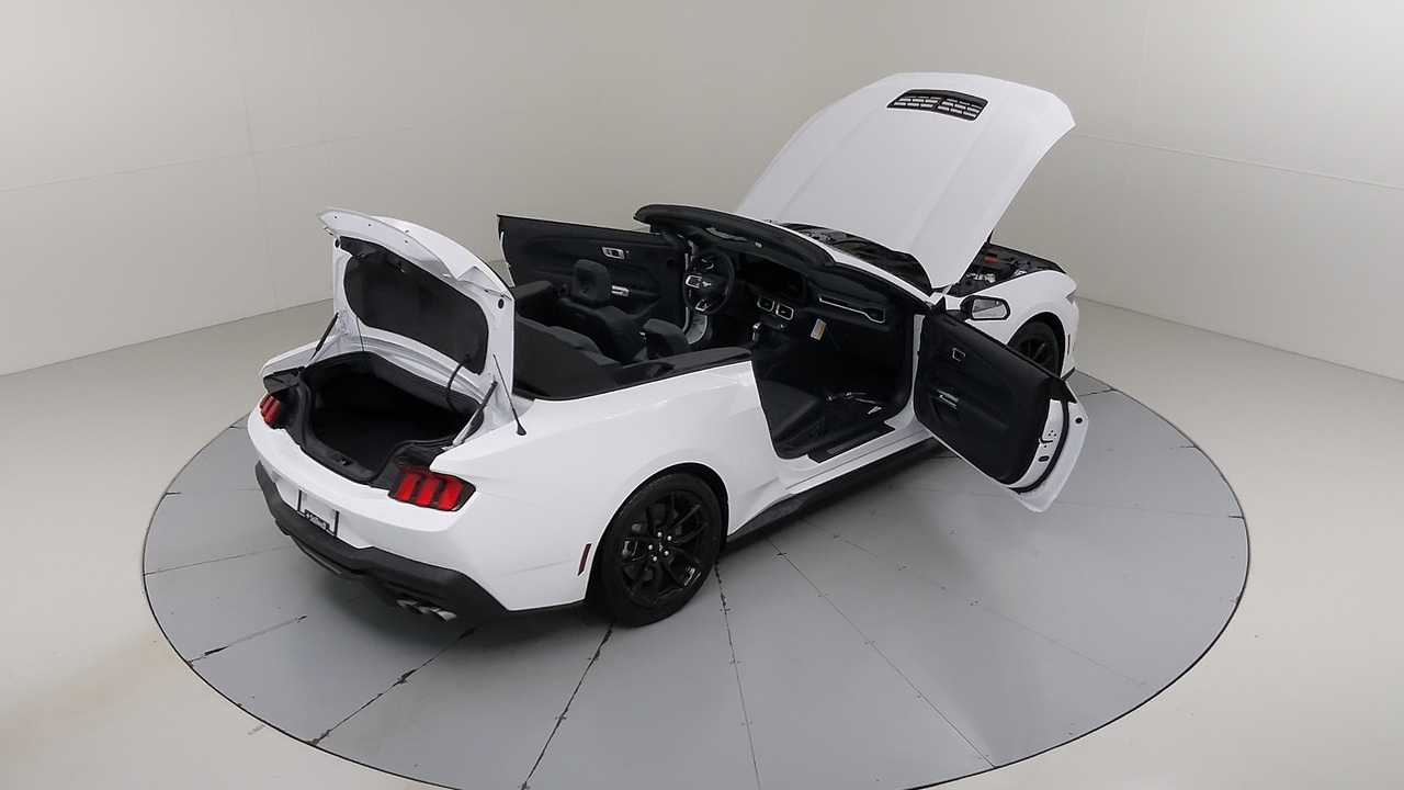 Car Exterior