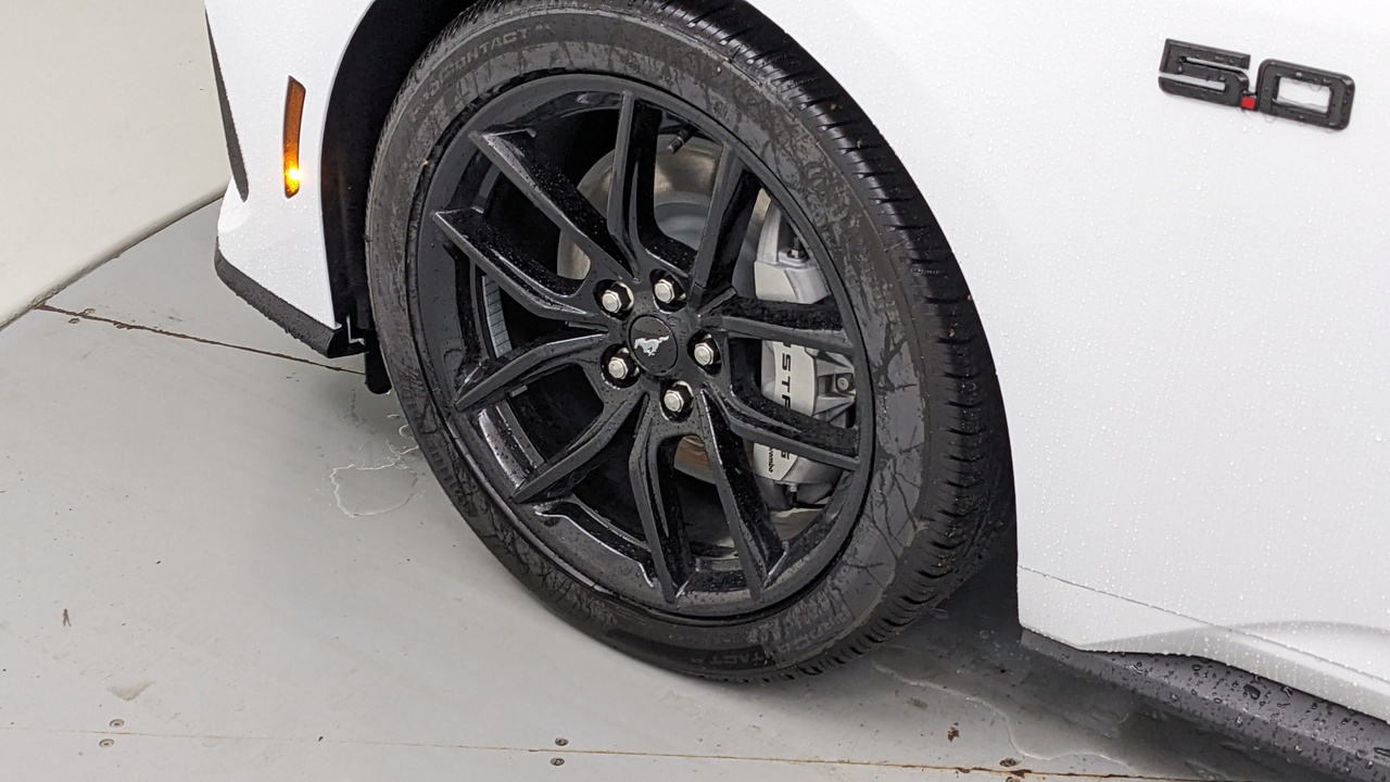 Car Exterior