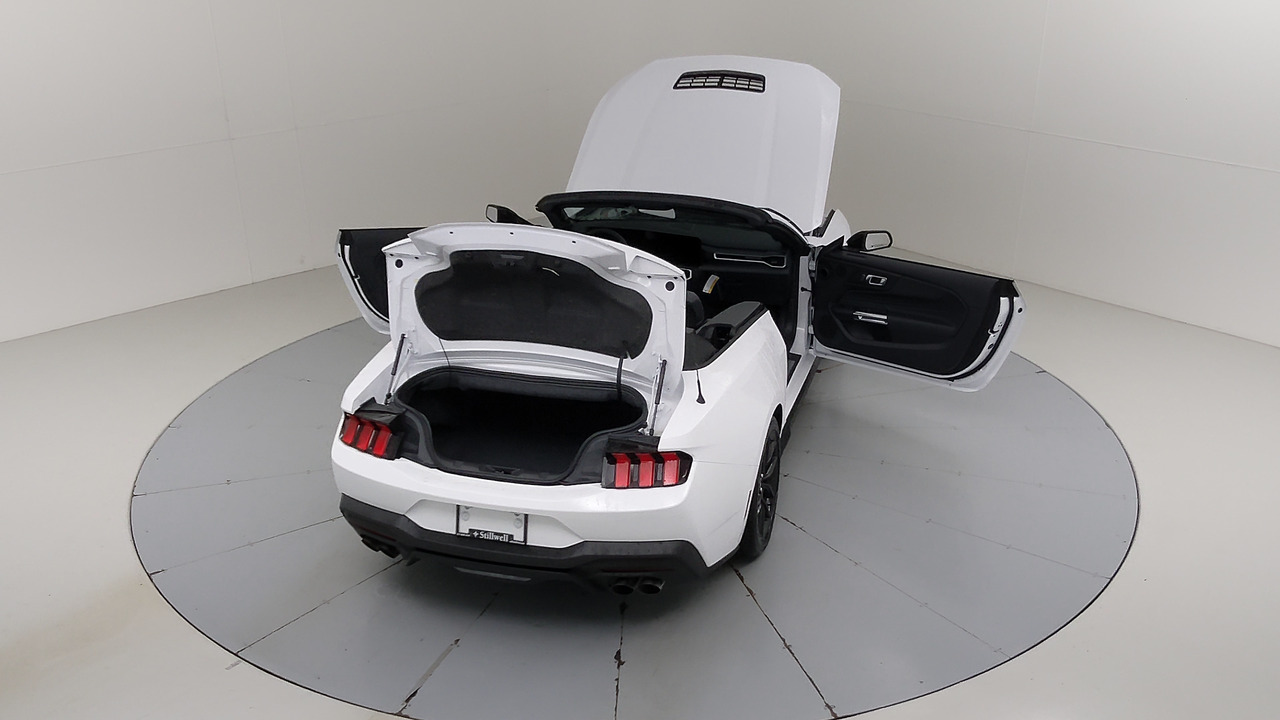 Car Exterior