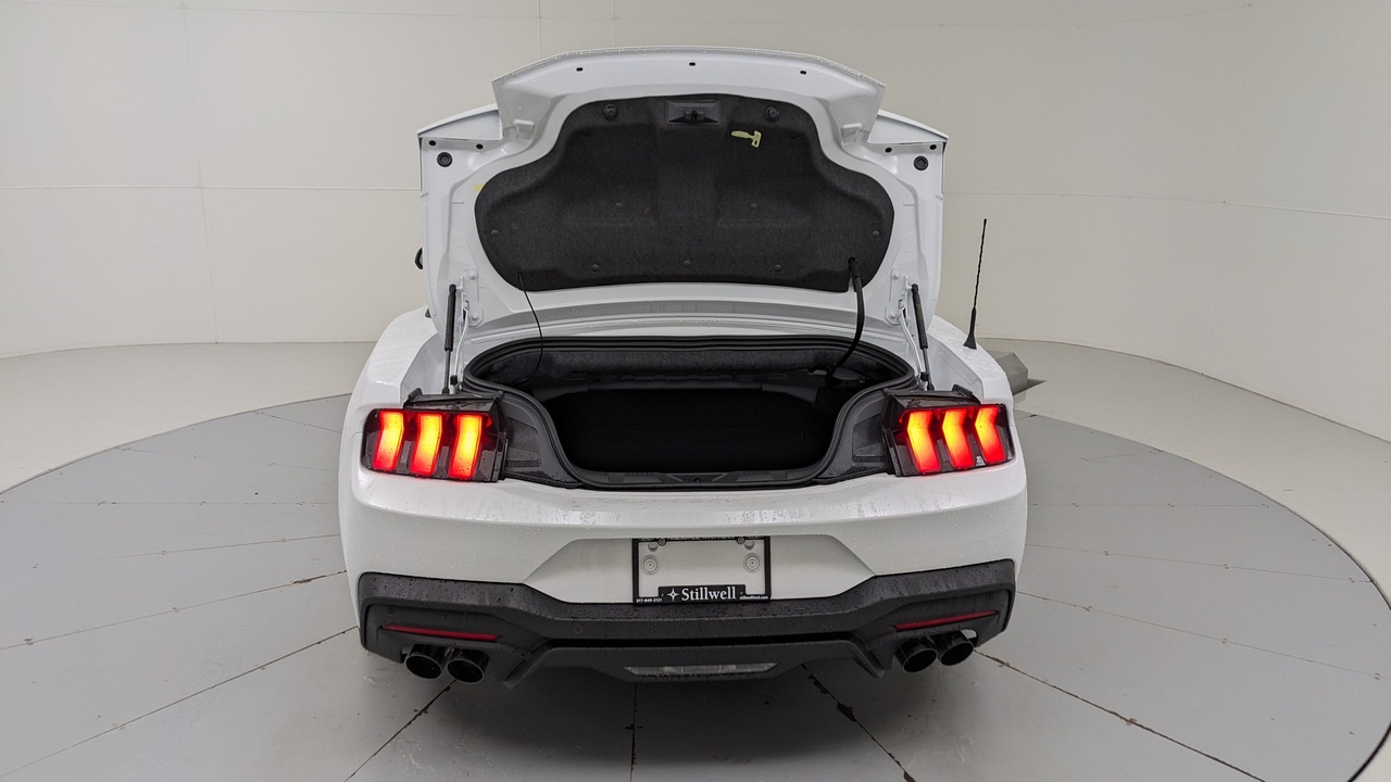 Car Exterior