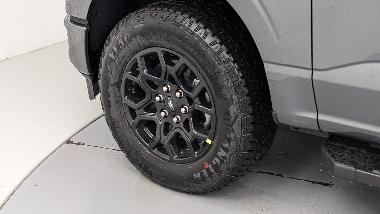 Car Exterior