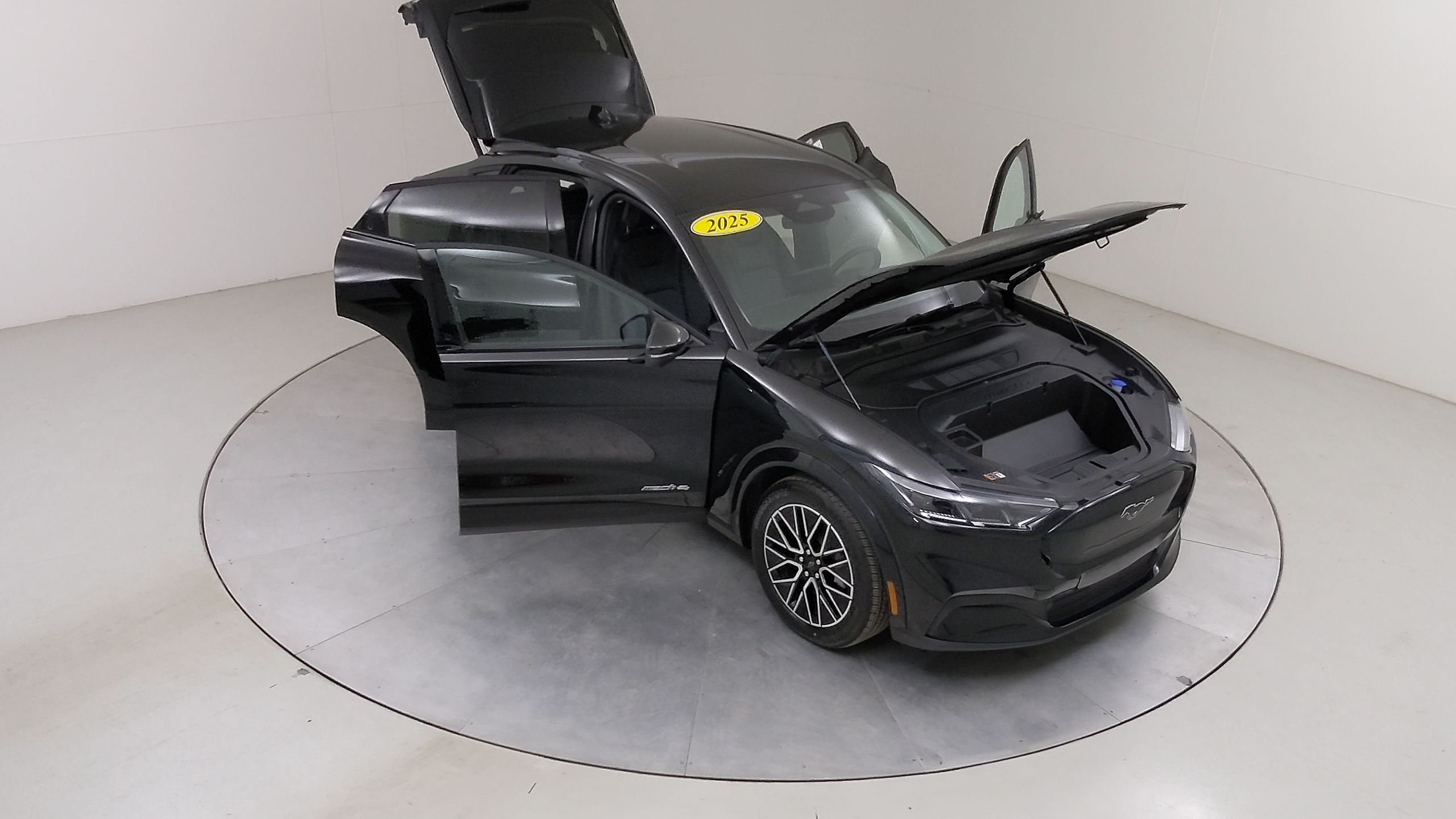 Car Exterior