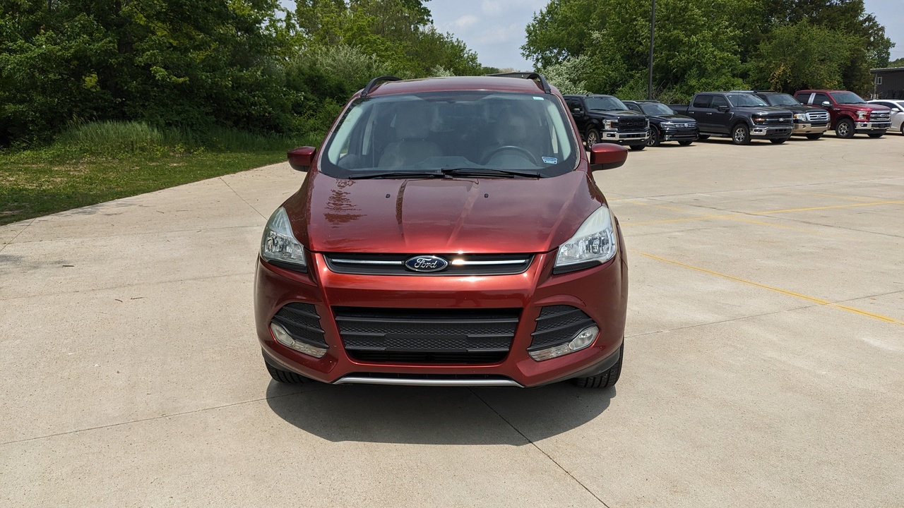 Car Exterior