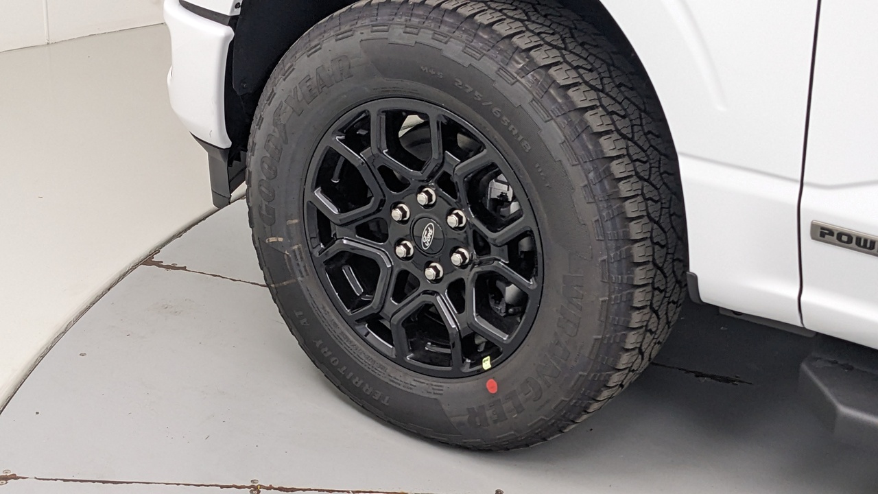 Car Exterior