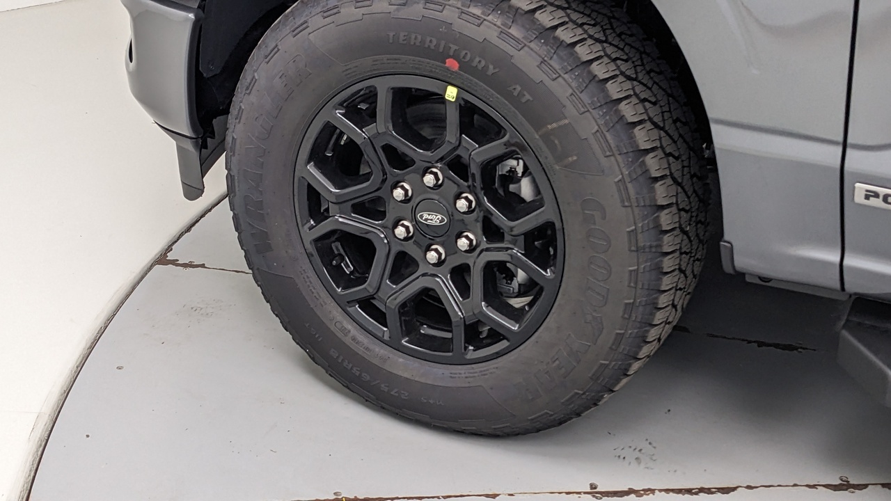Car Exterior