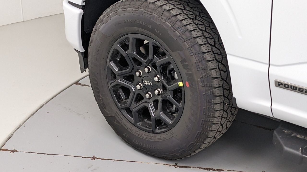 Car Exterior