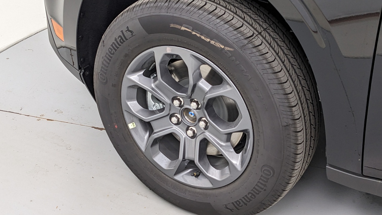 Car Exterior