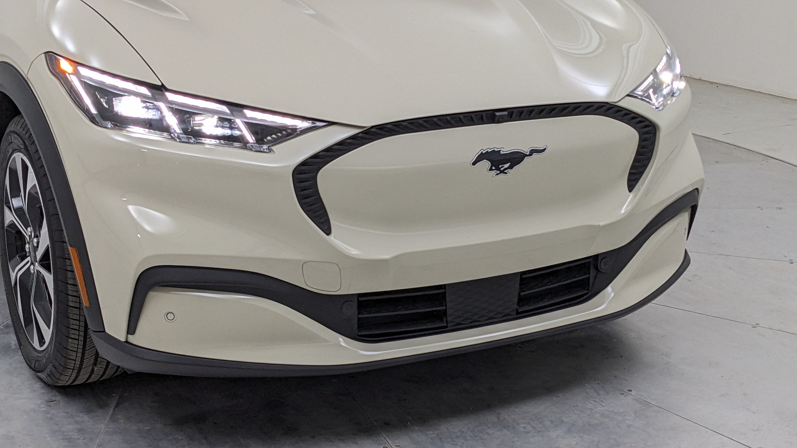 Car Exterior