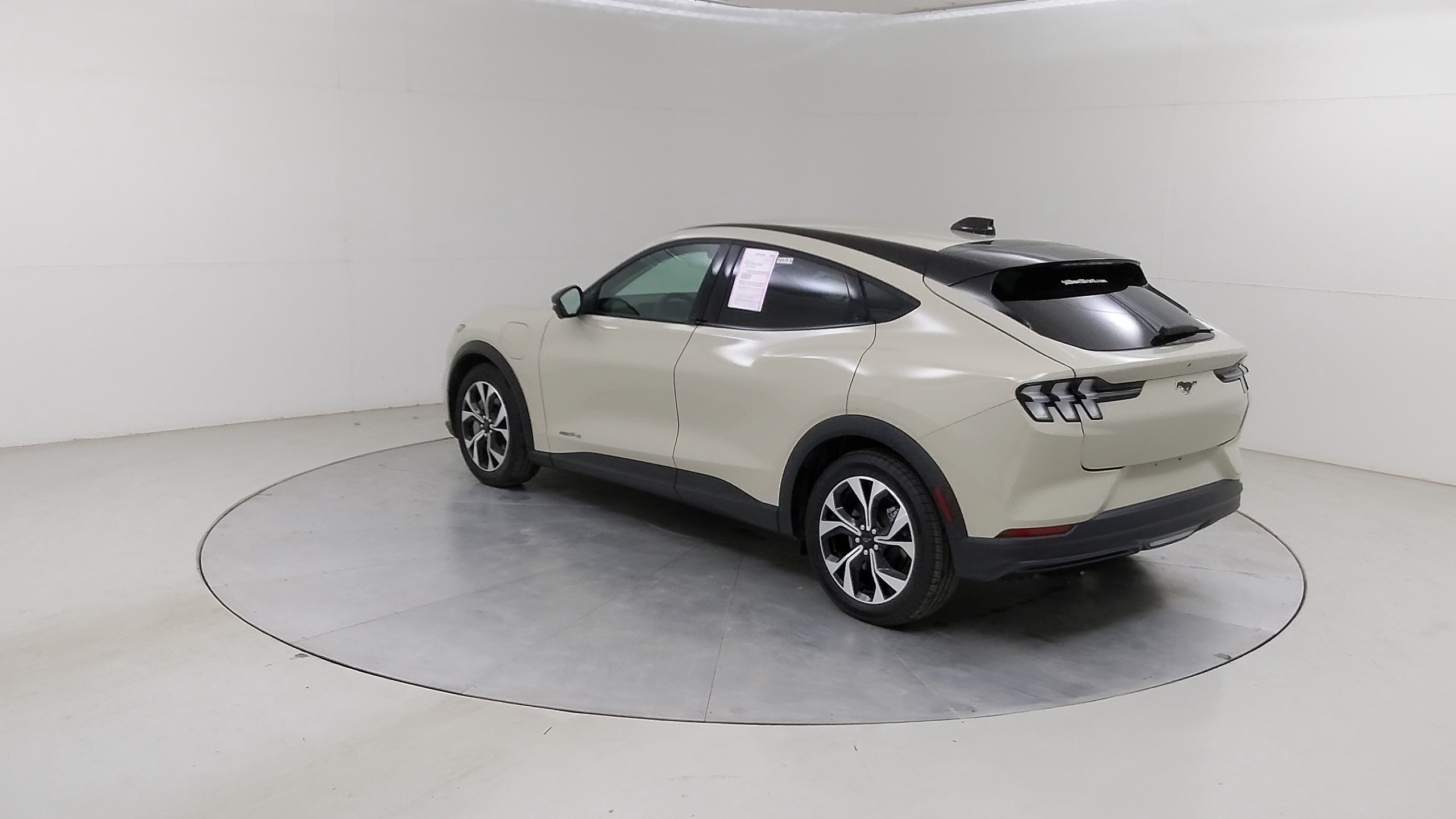 Car Exterior