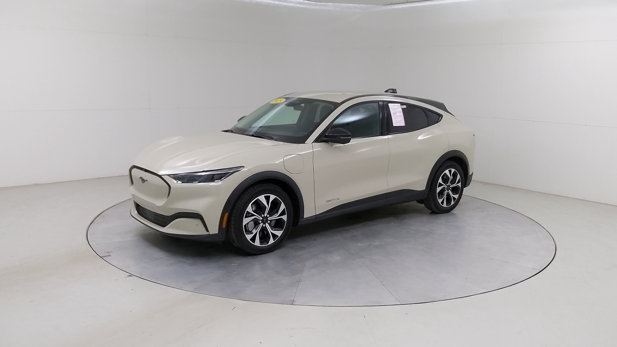 Car Exterior