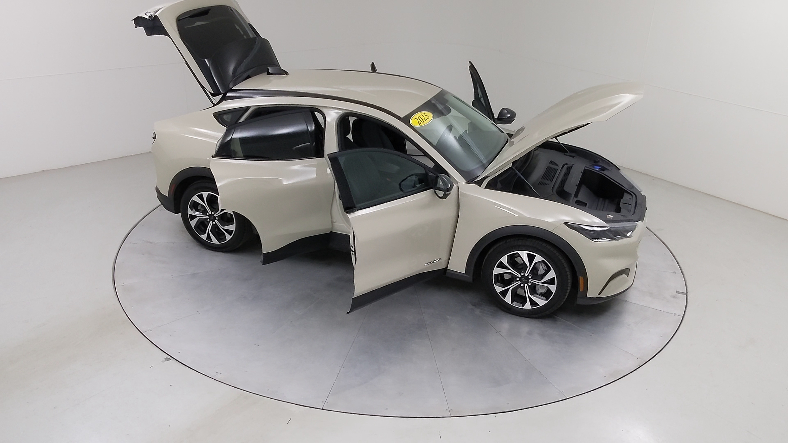 Car Exterior