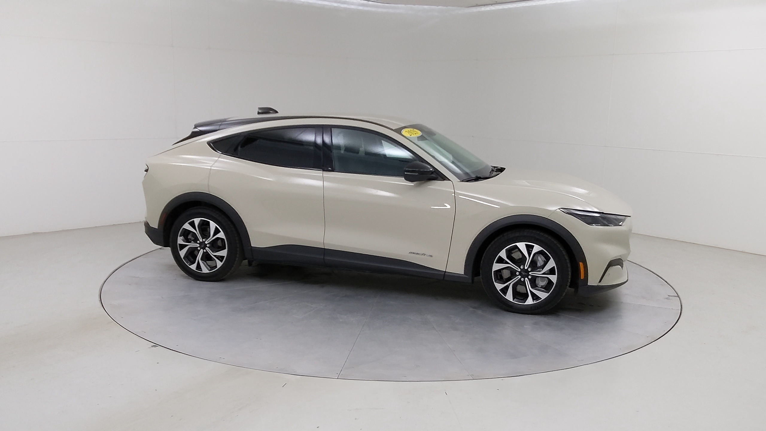 Car Exterior