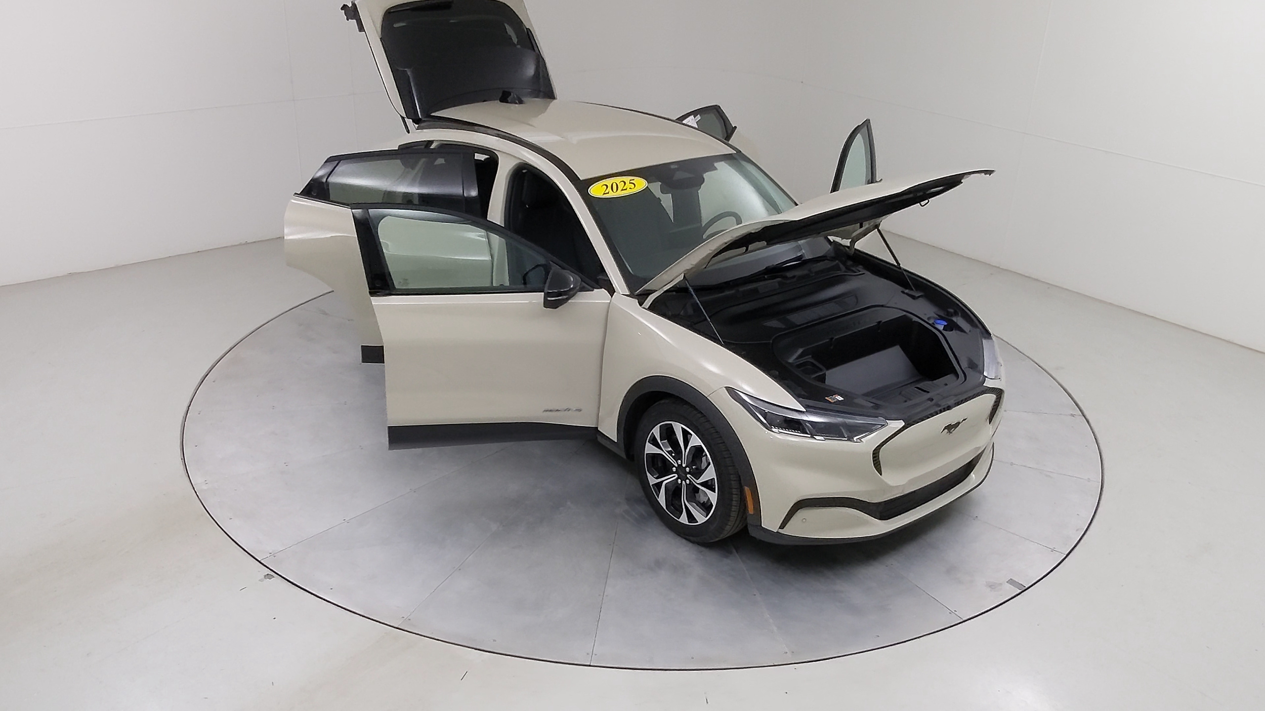 Car Exterior