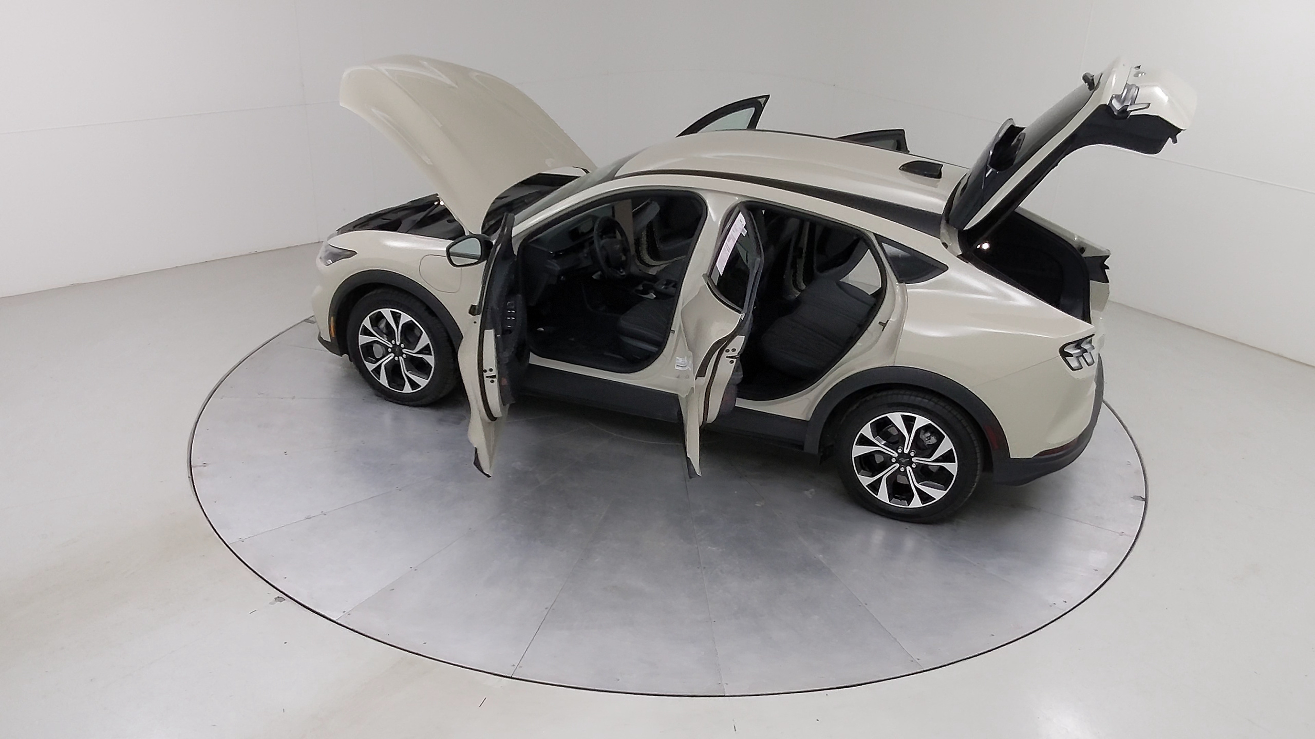 Car Exterior
