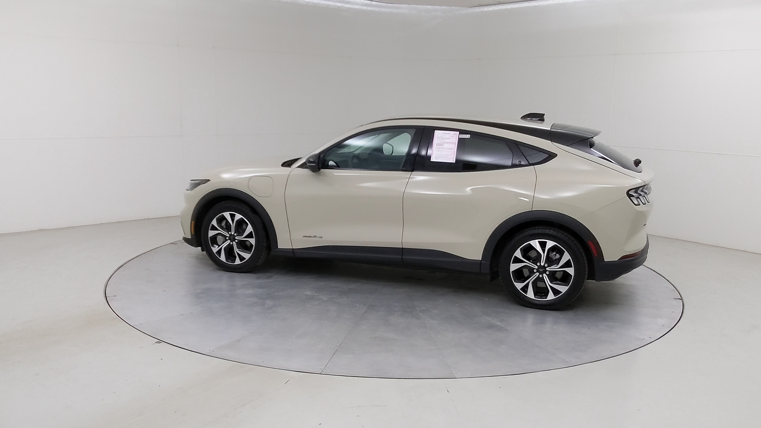 Car Exterior
