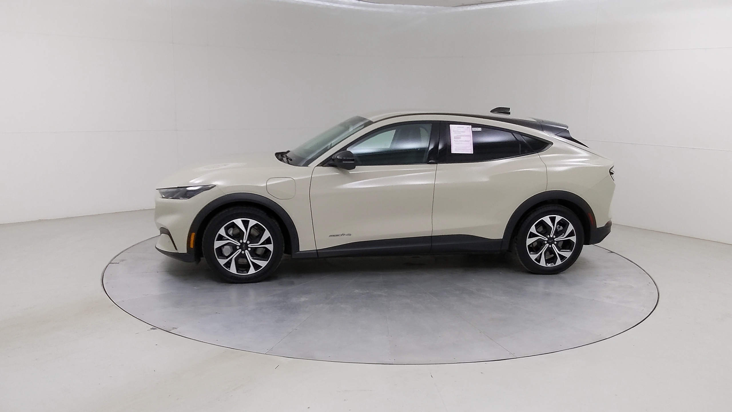 Car Exterior