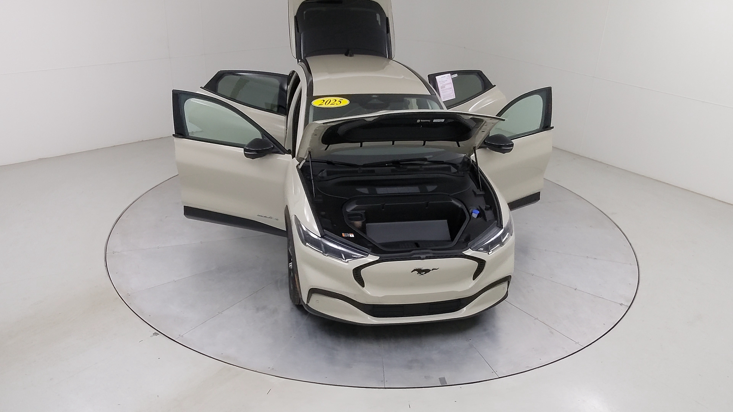 Car Exterior