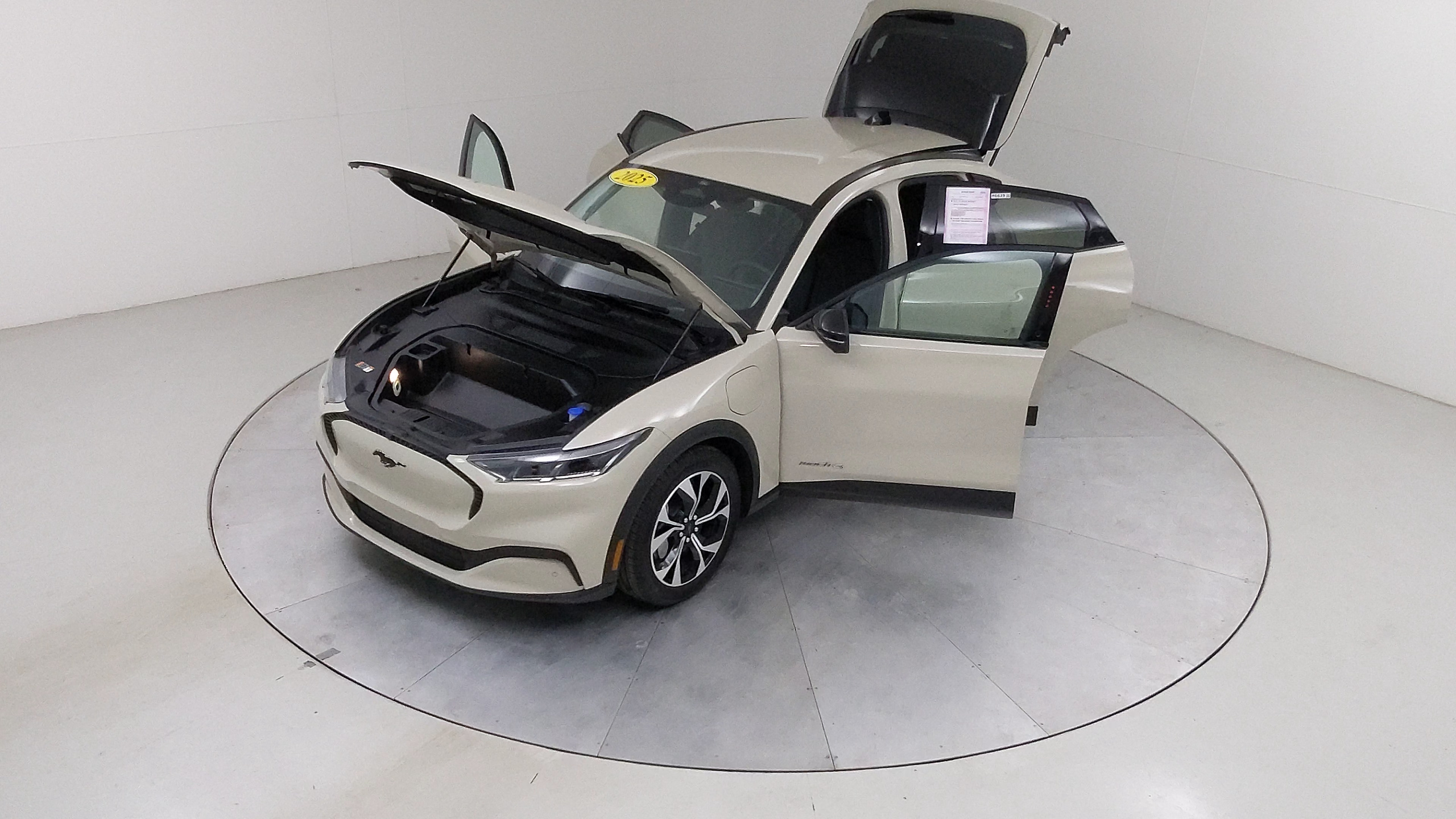 Car Exterior