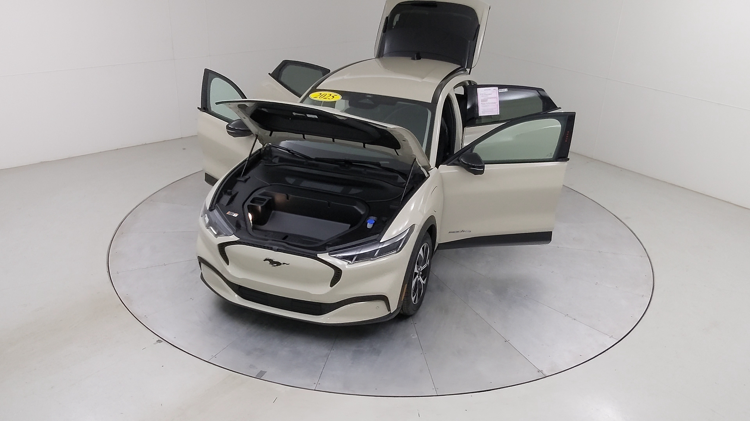 Car Exterior