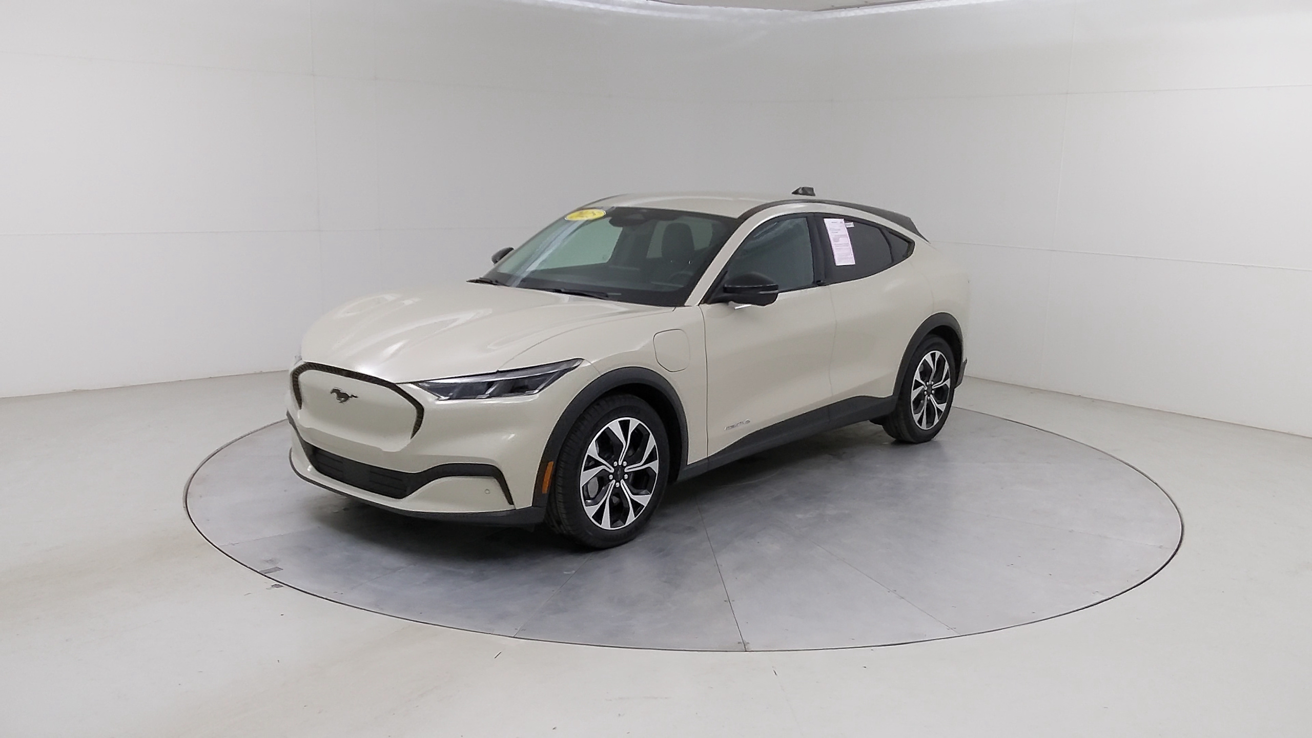 Car Exterior