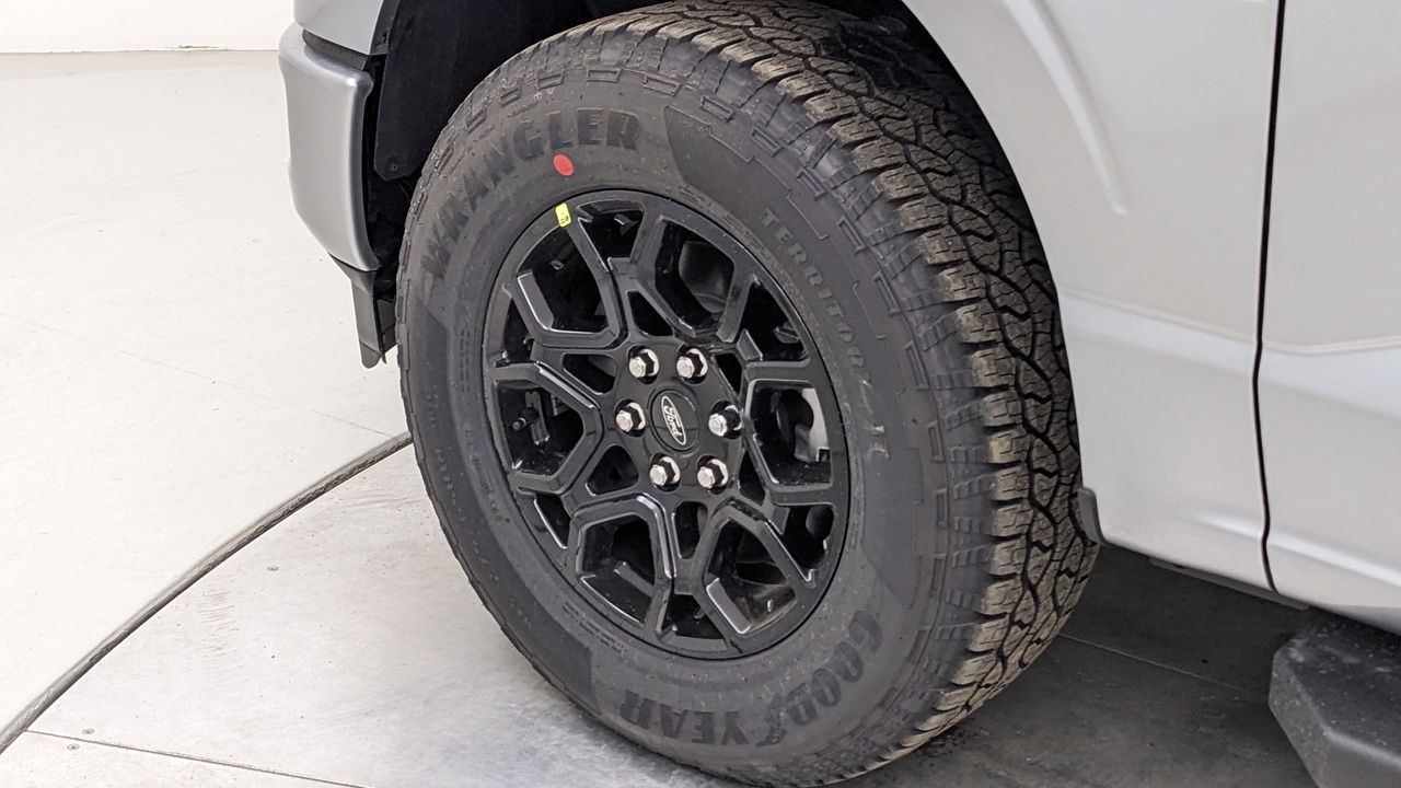 Car Exterior