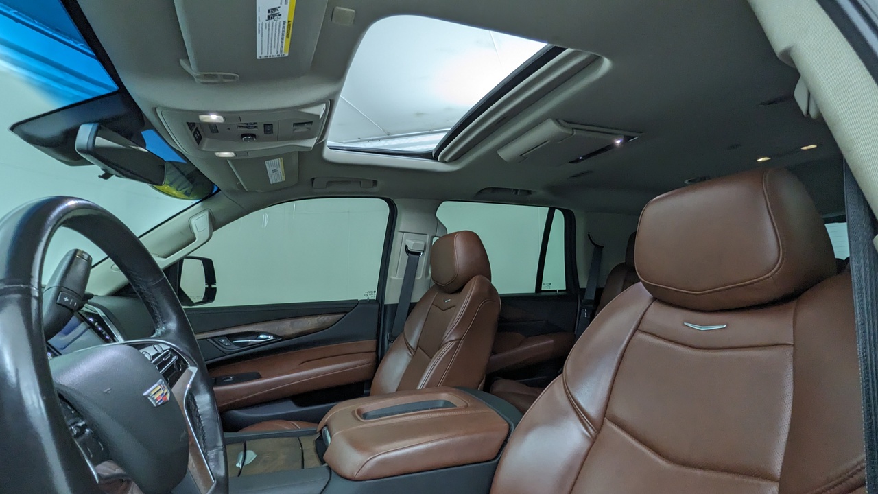 Car Exterior