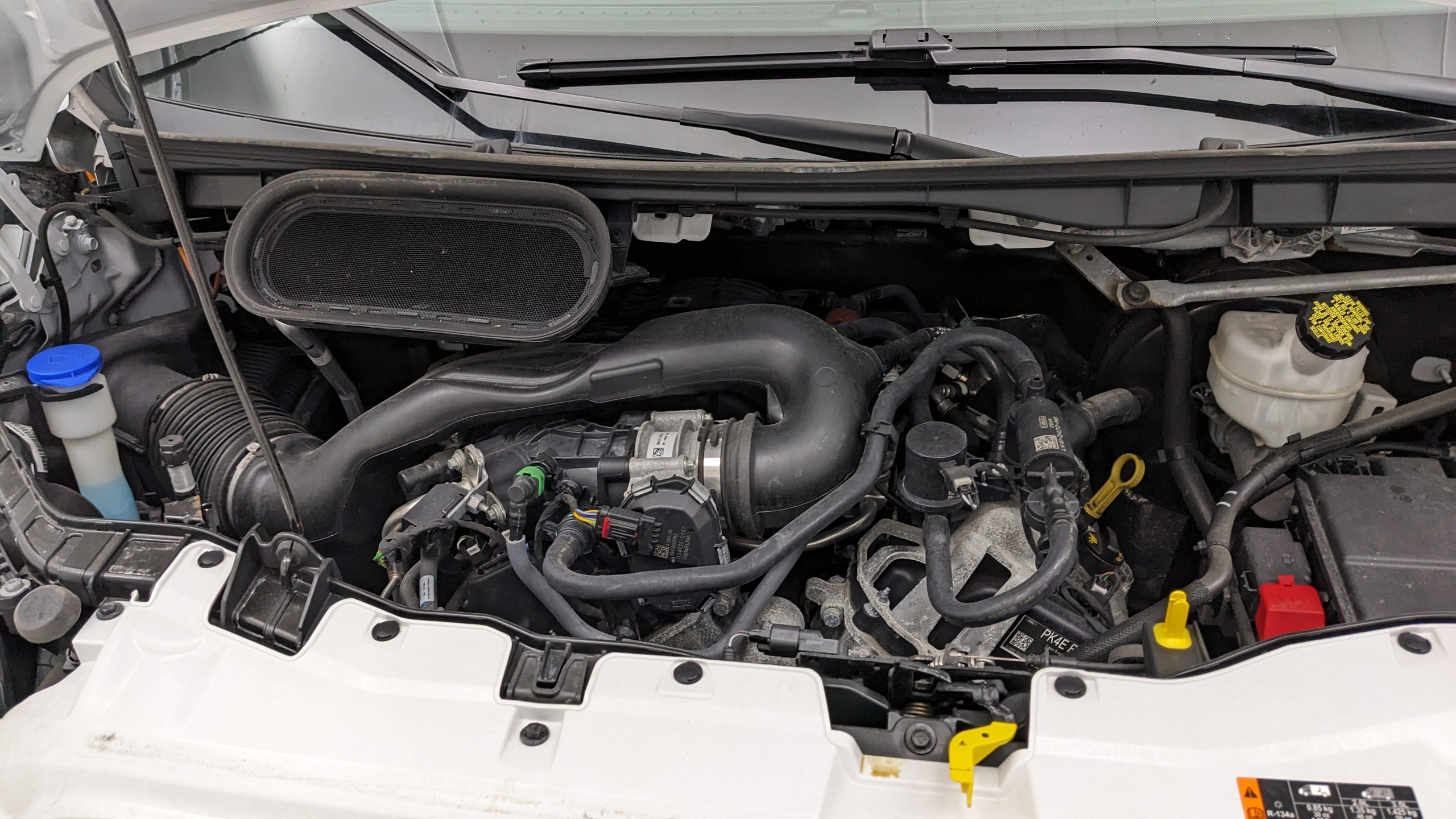 Car Exterior