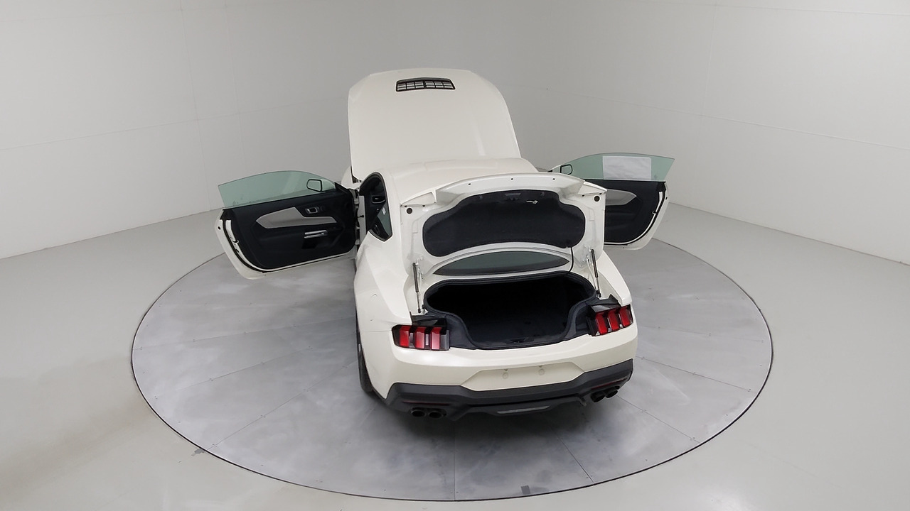 Car Exterior