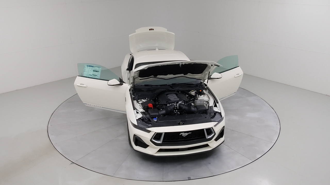 Car Exterior