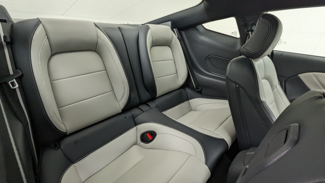 Car Exterior